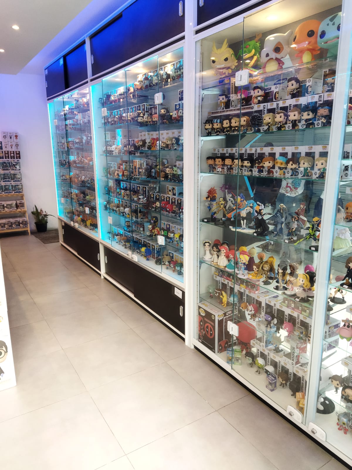 Collection Universe