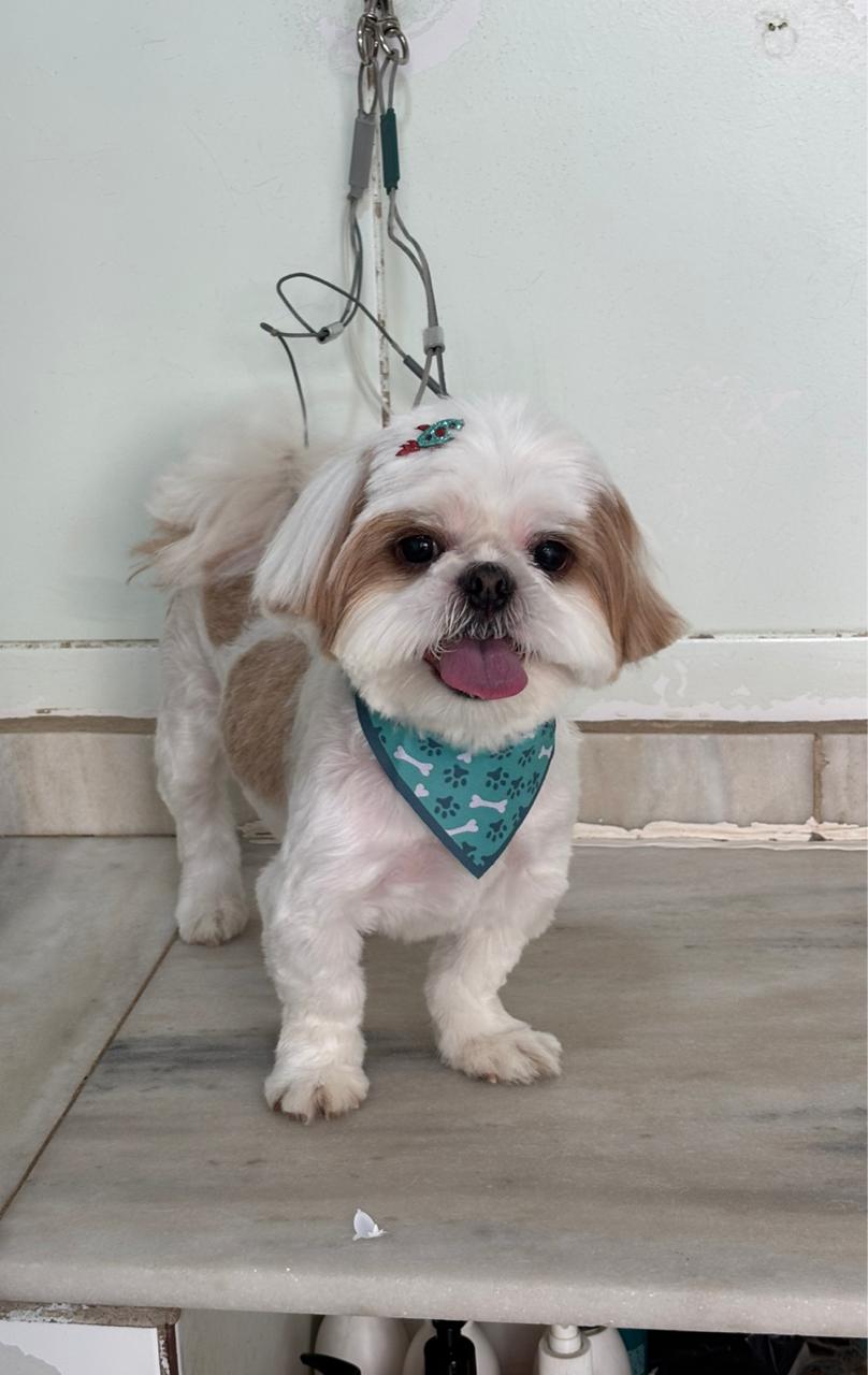 petshop Fanvet | Clinica Veterinaria