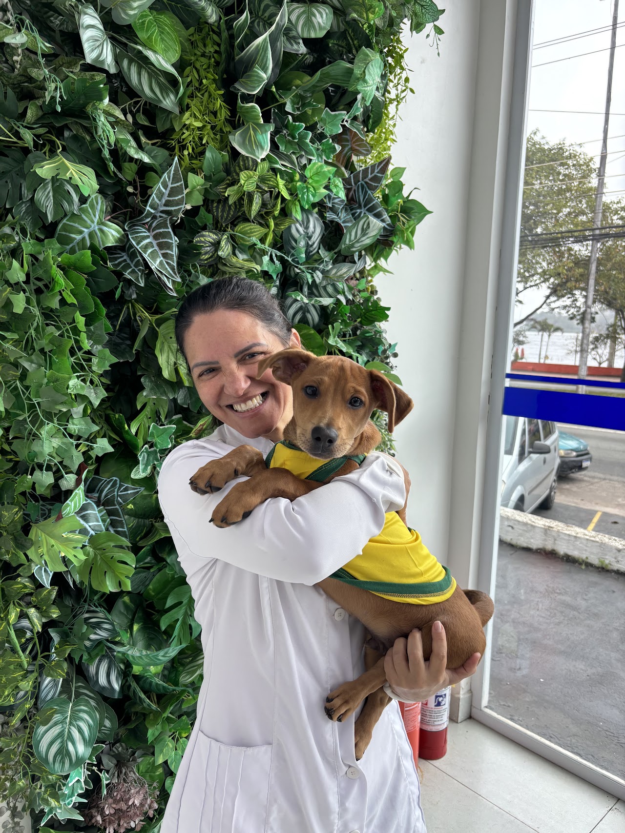 Vetnasa Interlagos 24 horas - Clínica Veterinária 24h