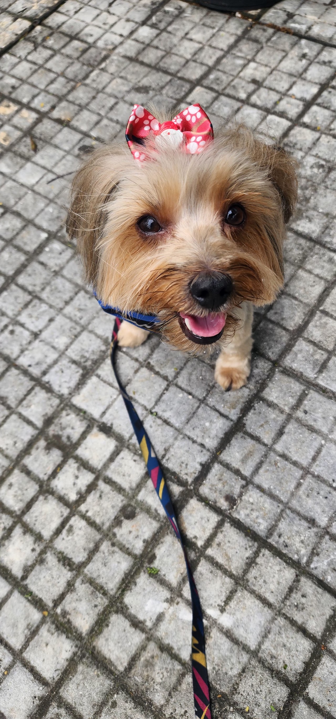 Jardins Pet Shop