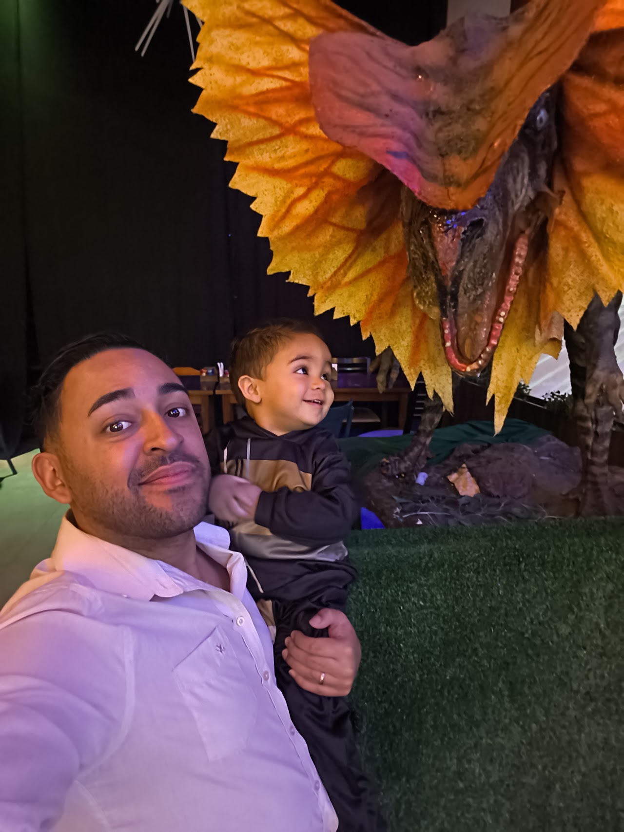 Dinolandia - O mundo dos Dinossauros