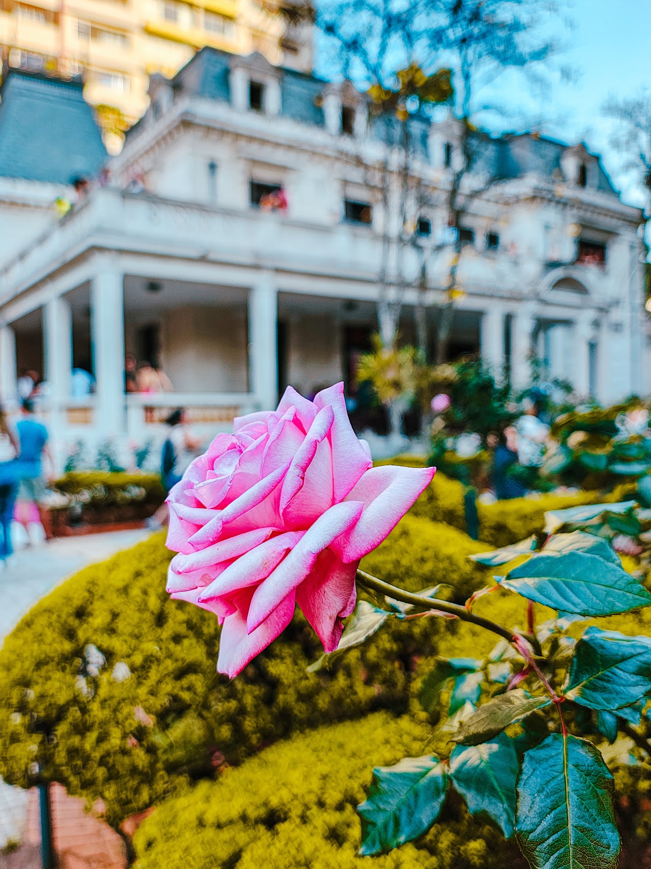 Parque Engenheiro Ernesto Dias de Castro