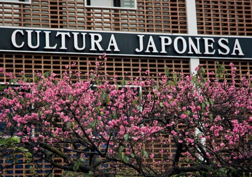 Bunkyo Sociedade Brasileira de Cultura Japonesa e de Assistência Social (Bunkyo) ブラジル日本文化福祉協会
