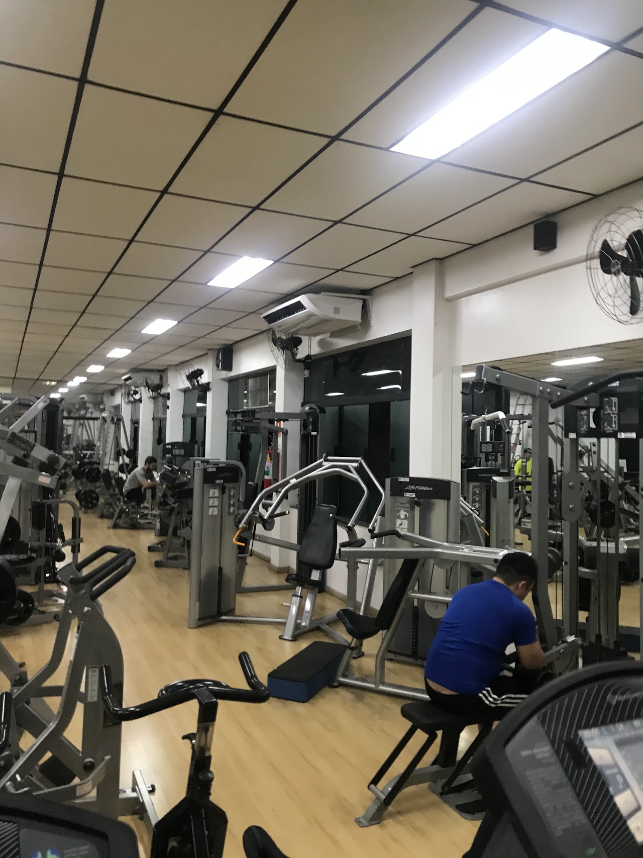 Top Swim Academia – Aclimação