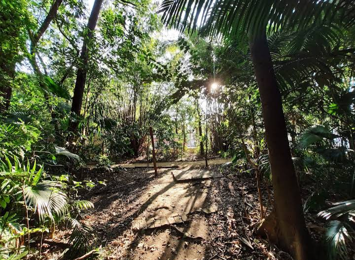 Bosque do Brooklin