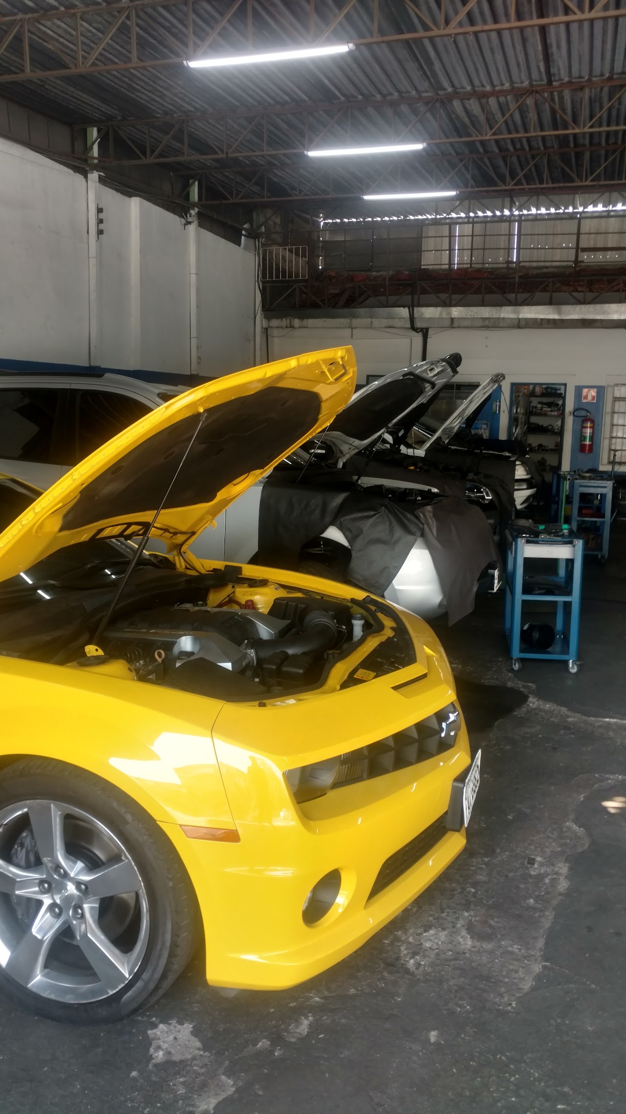 Graxa Auto Mecânica