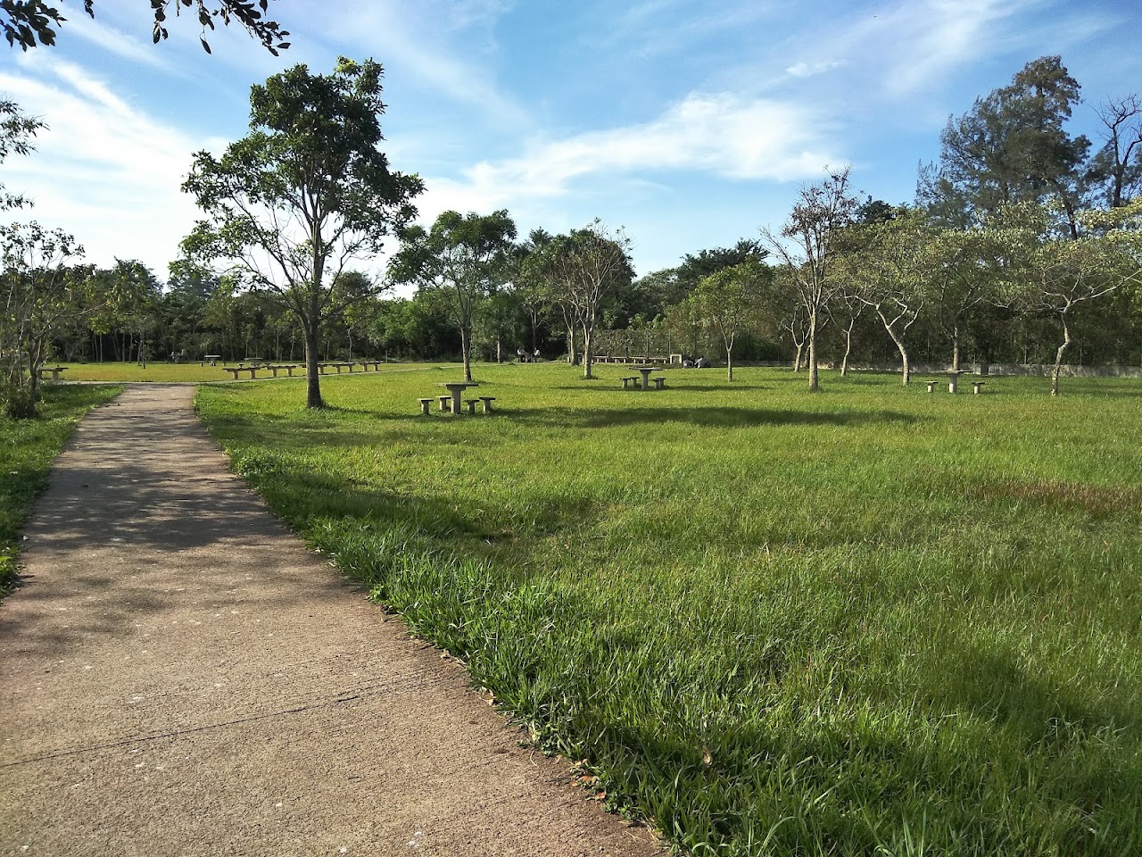 Parque Linear Nove de Julho