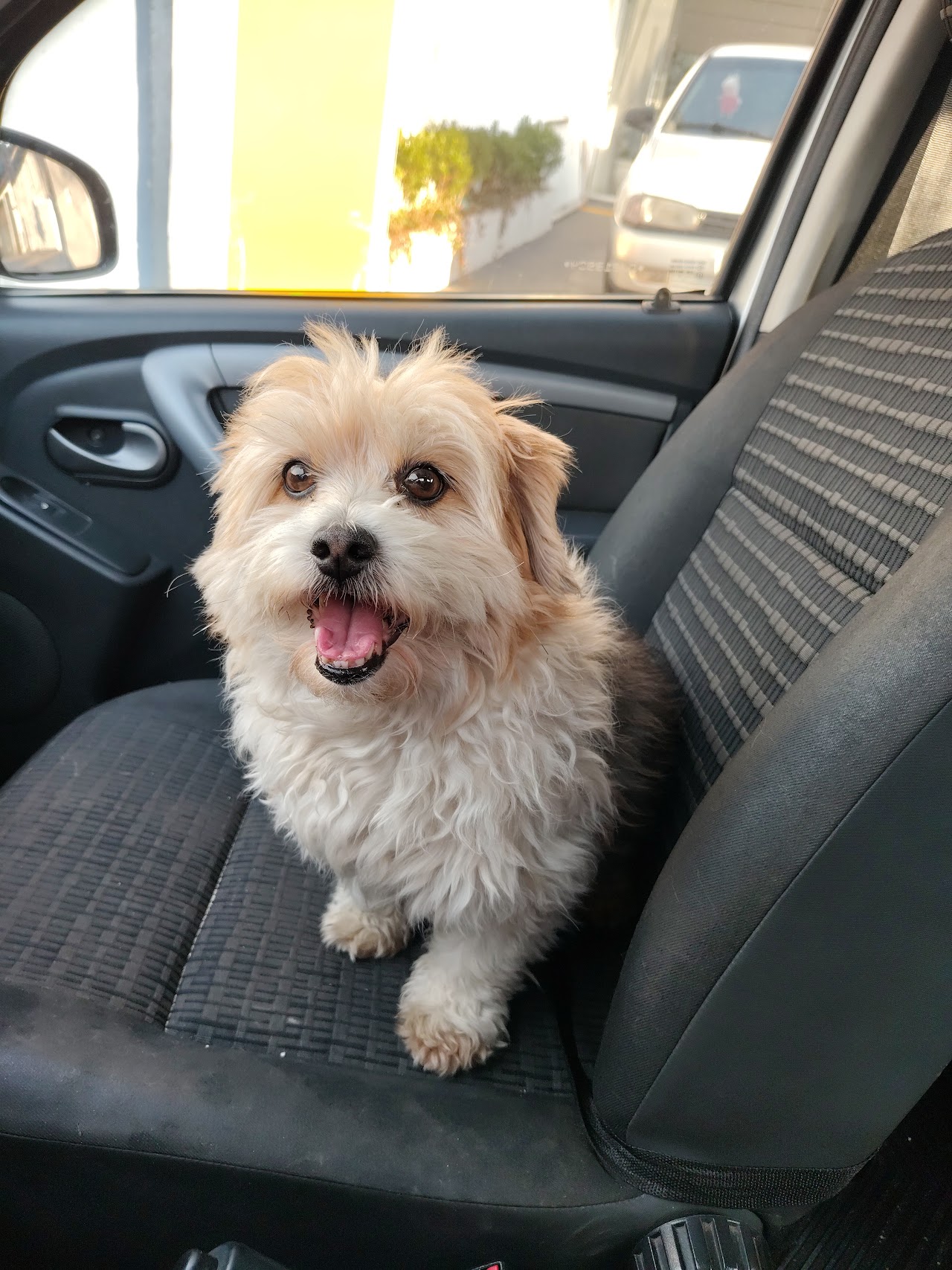 Rehem Pet Clínica Veterinária e Pet Shop