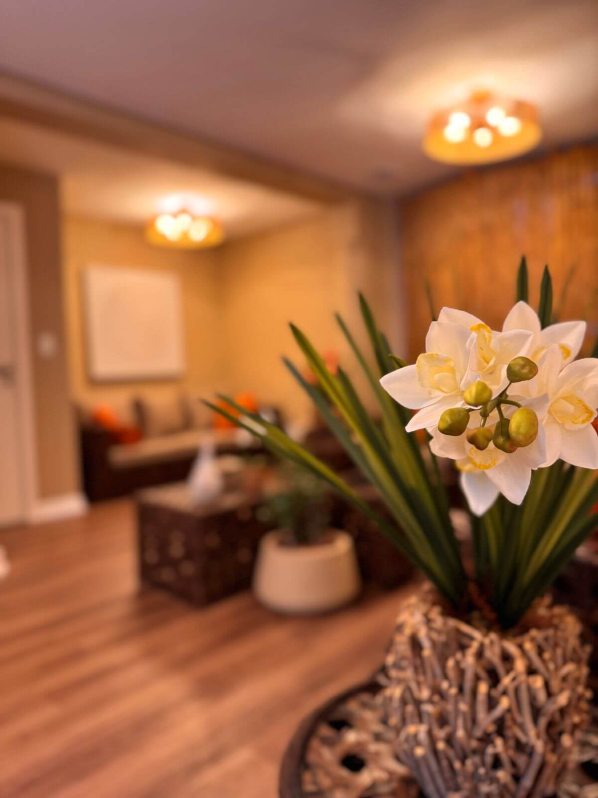 Espaço Girassol Easy Spa - Jardins