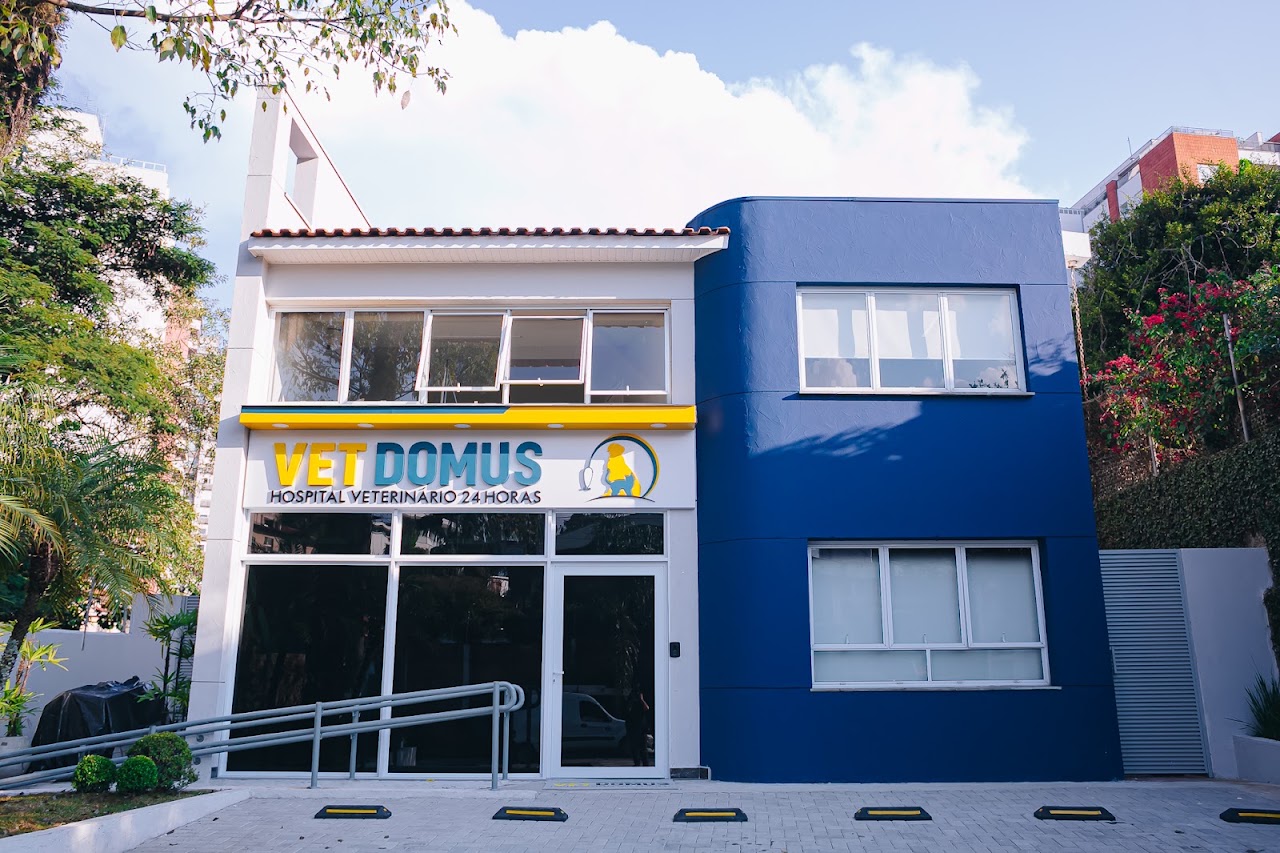 Vet Domus | Centro Veterinário 24H