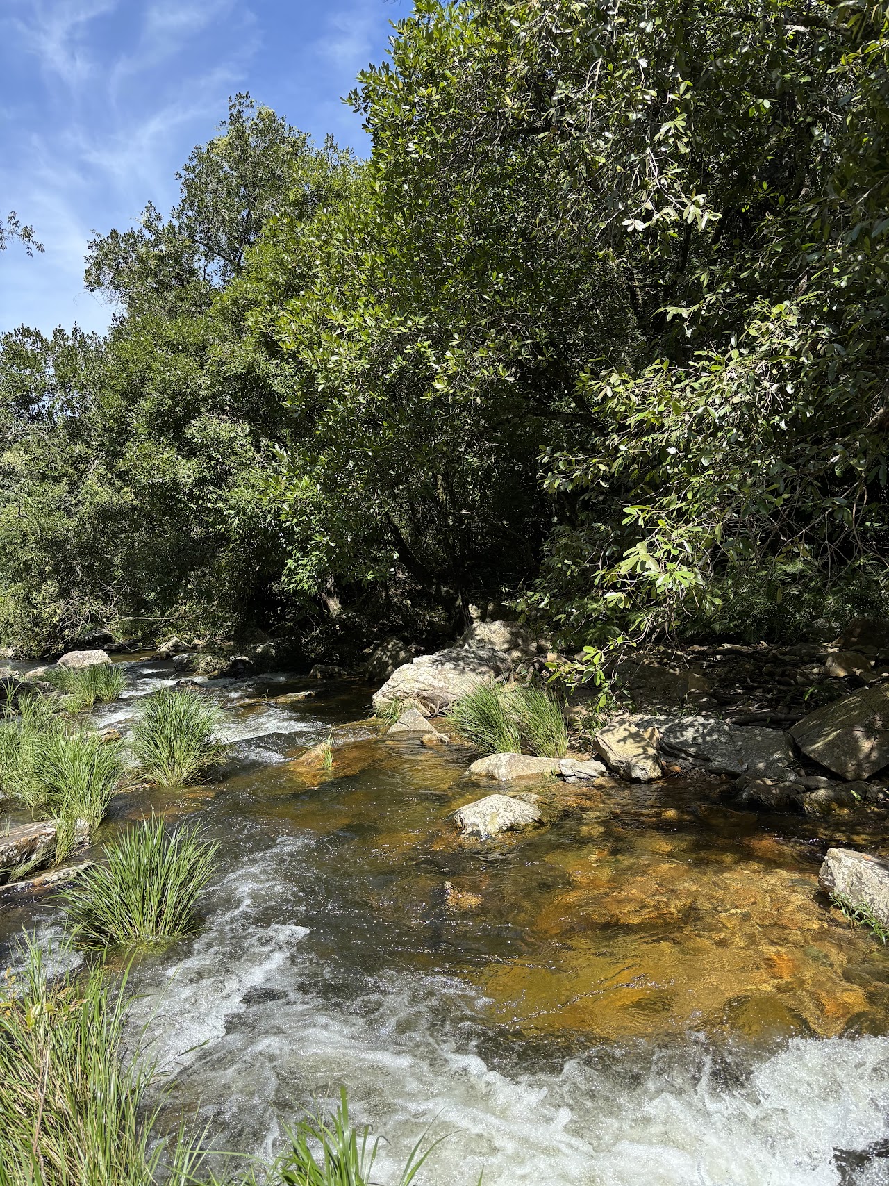 VaiViver Ecoturismo e Aventura