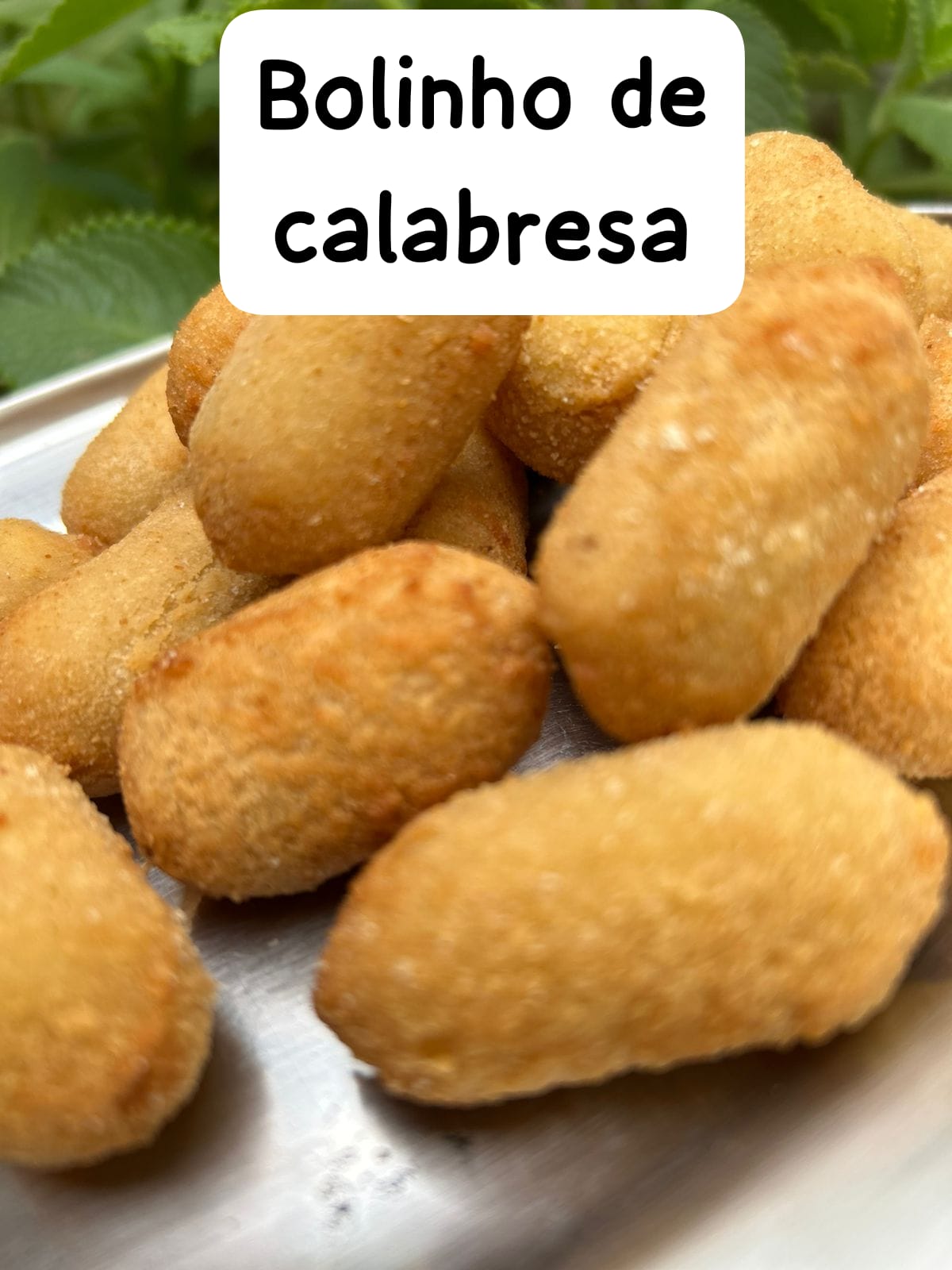 Neidoca salgados